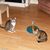 Susan Vecchione's profile image