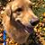 Rita Marie Armstrong's profile image