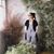 Sue Bogenschutz Stark's profile image