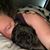 Sarah Parrett's profile image