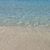 Sue Westrum's profile image