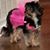 Valerie Williams's profile image