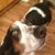 Hillary Brenda's profile image
