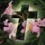 Heather Noyes's profile image