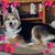 Lindsey Anderson's profile image