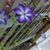 Helena Angel Bravi's profile image