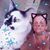 Danette Garber's profile image