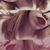 Zenaida Ruiz's profile image