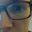 Junebug Squashbugs's profile image
