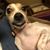 Janet Bressler's profile image