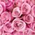 Barbara Laughlin's profile image
