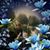 Lucia Cabezon's profile image