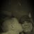 Dara Sueann Mayfield's profile image