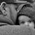 Scott Cook's profile image