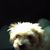 Sheryl Sivavec's profile image