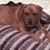 Kelsey Milney's profile image