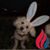 Chris Bennett's profile image