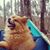 Sherry Smithart's profile image