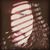 Corey James's profile image