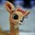 Ayesha Maeder's profile image