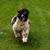 Kathy Meyer's profile image