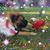 Jon Brian Rowe's profile image