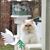 Brenda Bolton Holder's profile image