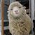Karen Geary's profile image