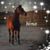 Michele Muench Collins's profile image