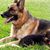 Mayling Galbis's profile image