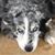 Nancy Herring Irwin's profile image