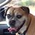 Mike Gallo's profile image