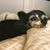 Georgianna Allen's profile image
