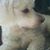 Linda Bell's profile image