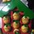 Cindy Mersman Ferry's profile image
