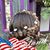 Tammy Monk's profile image