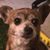 Musette Kotcher's profile image