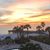 Shirl Sinwelski-Braglia's profile image