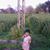 Murad Afridi's profile image