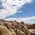 Jessica Padilla Rodriguez's profile image