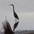 Linda Randall's profile image