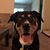 Chris Dilling Michaelis's profile image