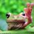 Donna Downey Baldwin's profile image