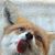 Koukla Chica's profile image