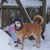Julie DeKeyser's profile image