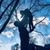 James Bowen's profile image