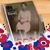 Lorraine Cromwell Frazier's profile image