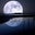 najm sheel's profile image
