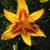 Mary Ann Bayne's profile image