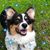 Carol L. Summerville's profile image